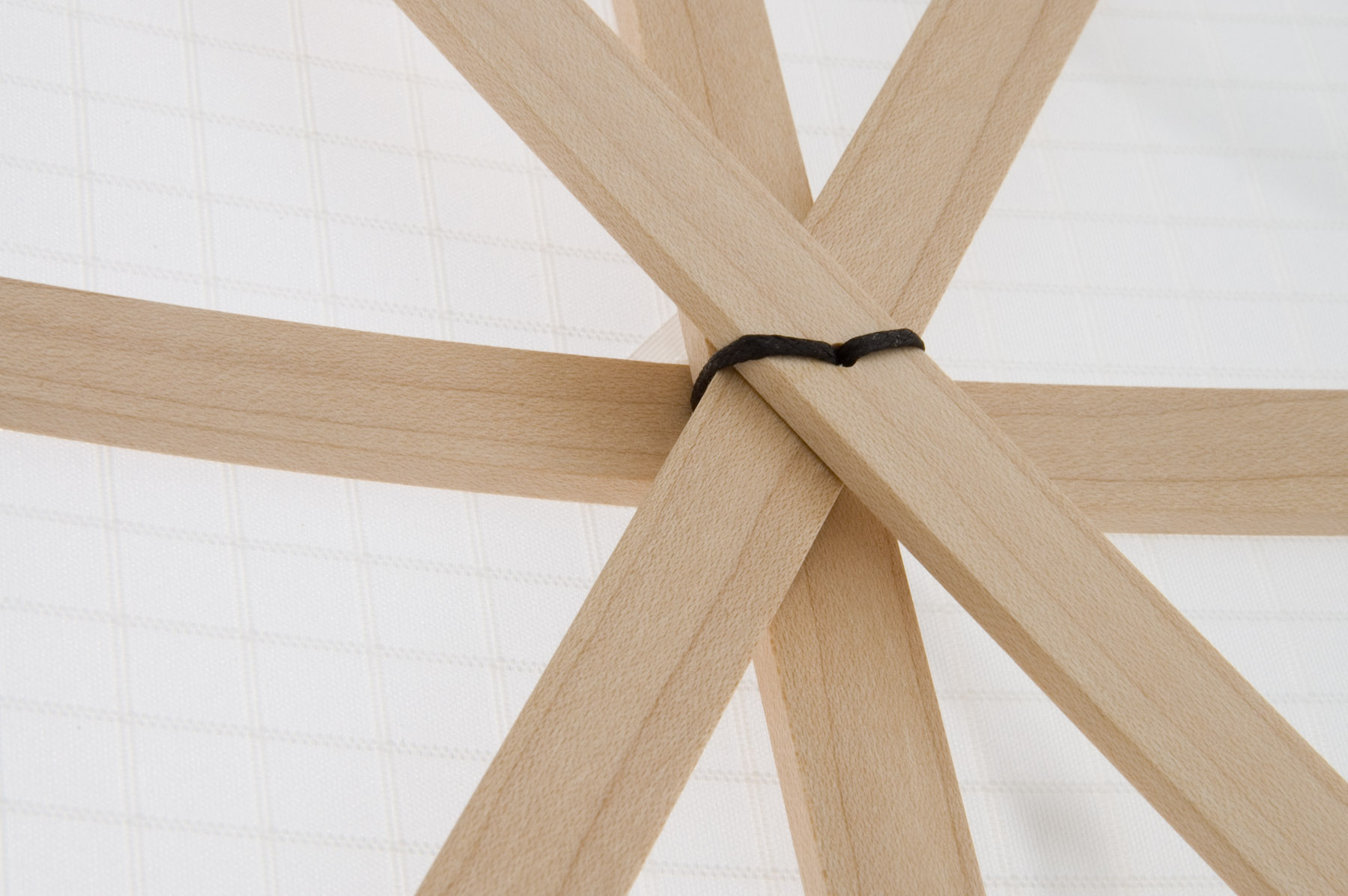 A Kite for Flying in Air (detail)