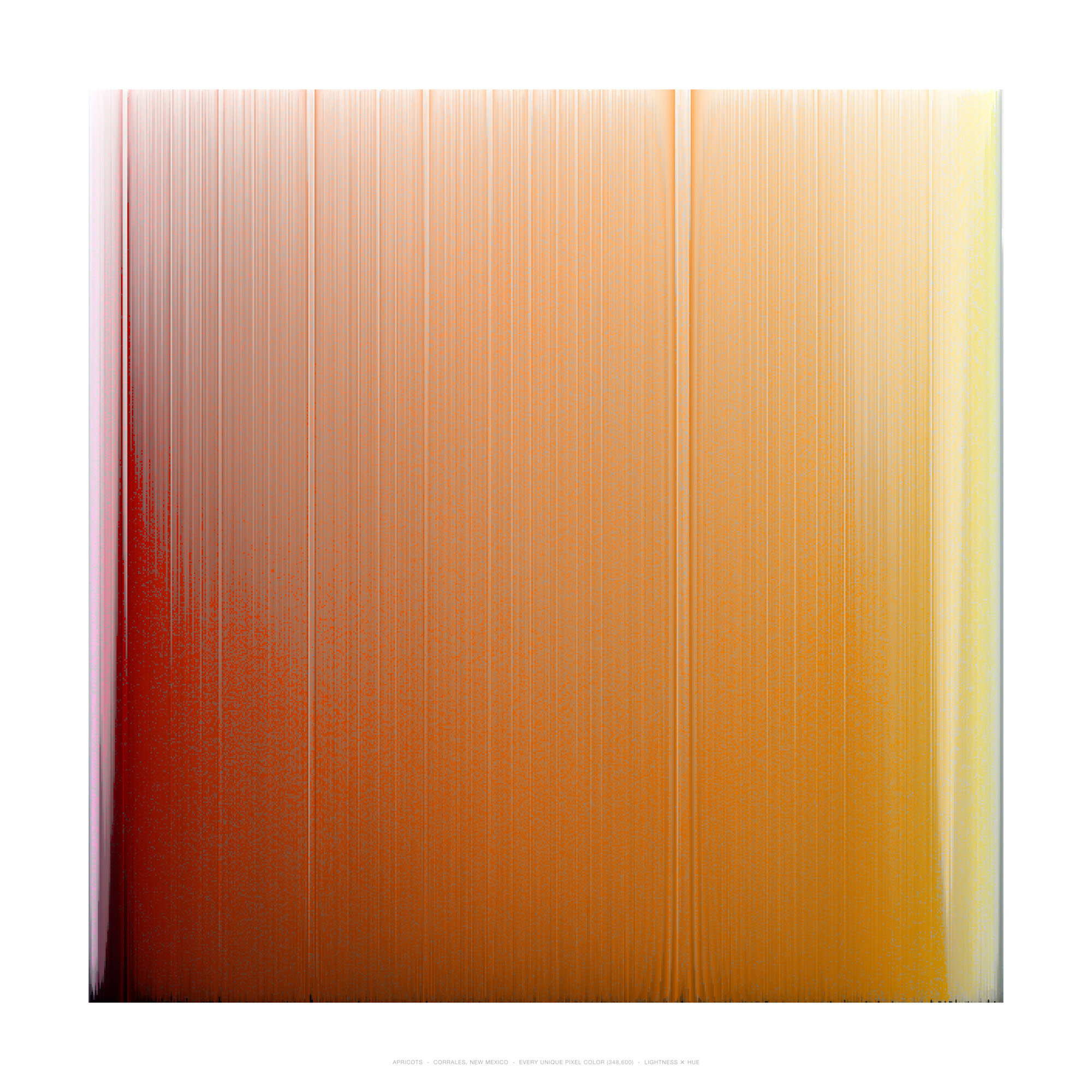 APRICOTS – CORRALES, NEW MEXICO – EVERY UNIQUE PIXEL COLOR (348,600) – LIGHTNESS × HUE