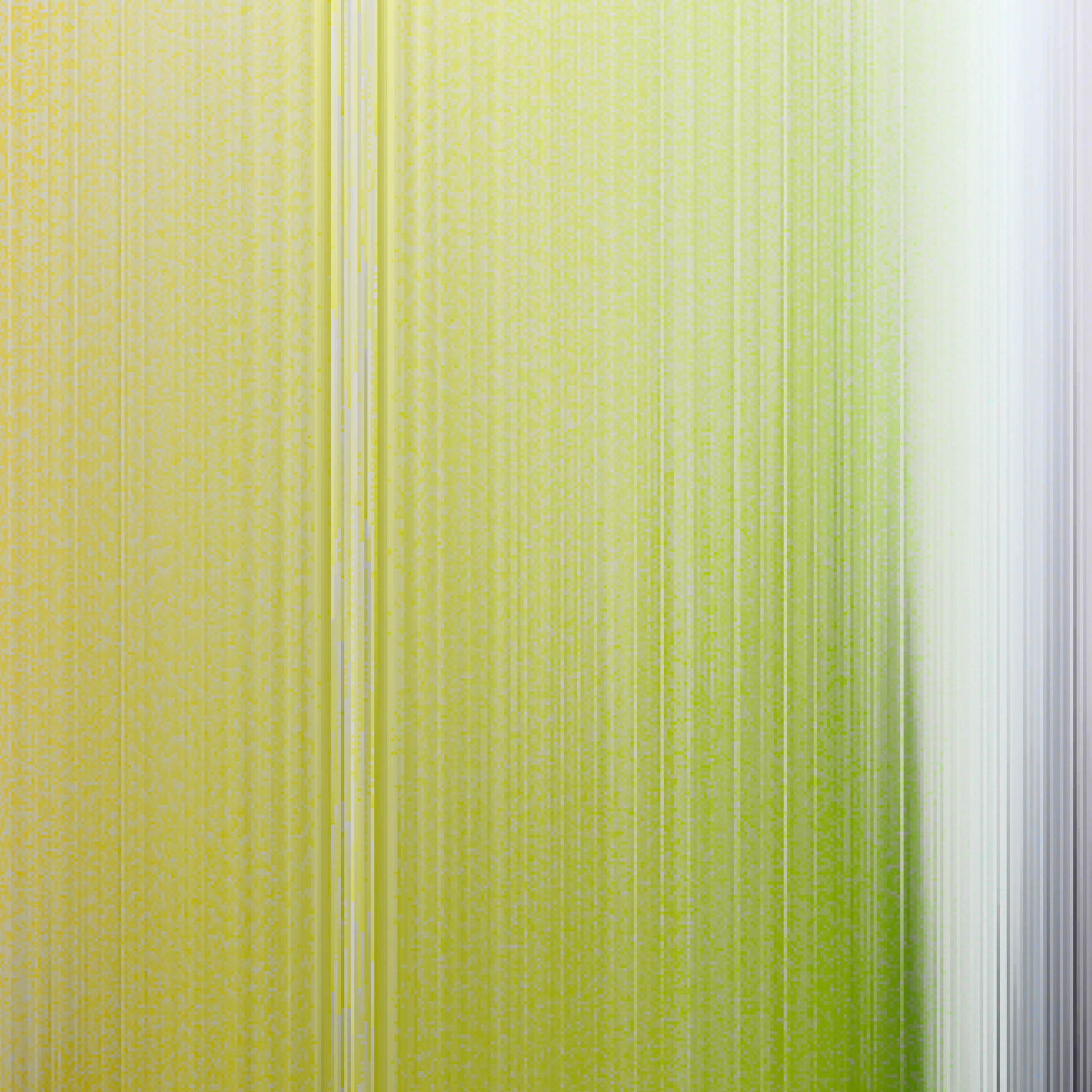 Taquitos (detail)