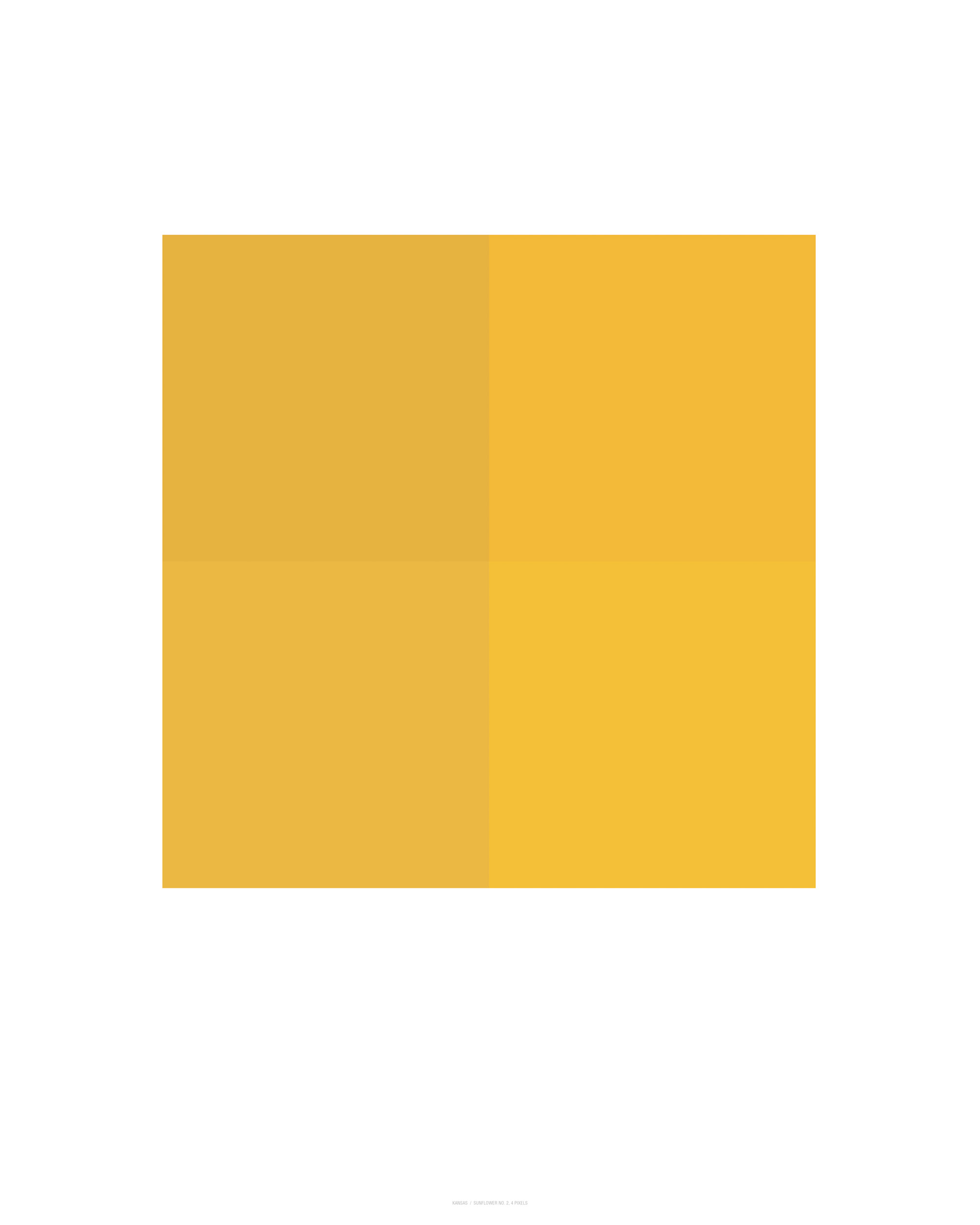 Sunflower No. 2, 4 Pixels