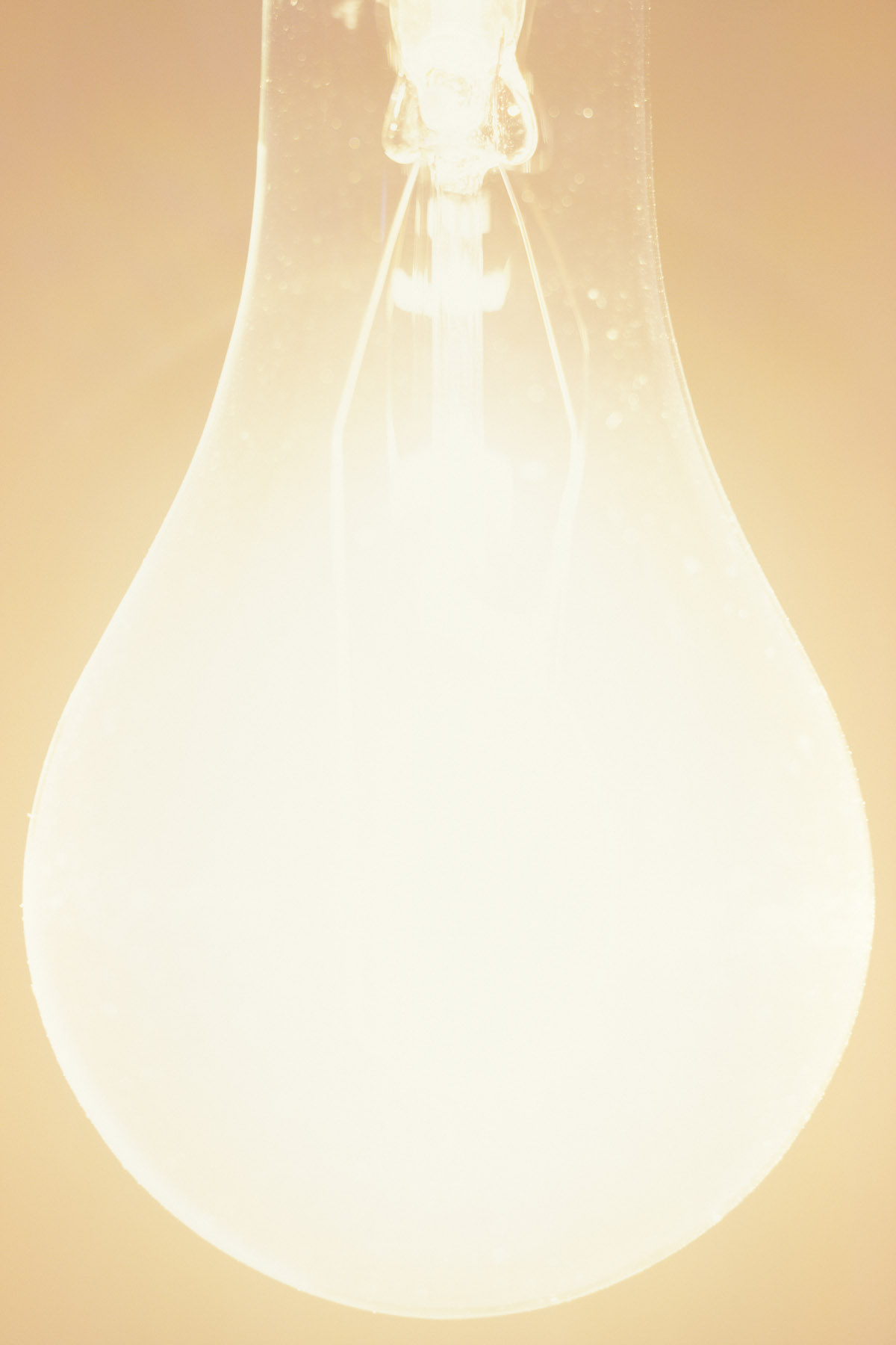 Light Bulb No. 12