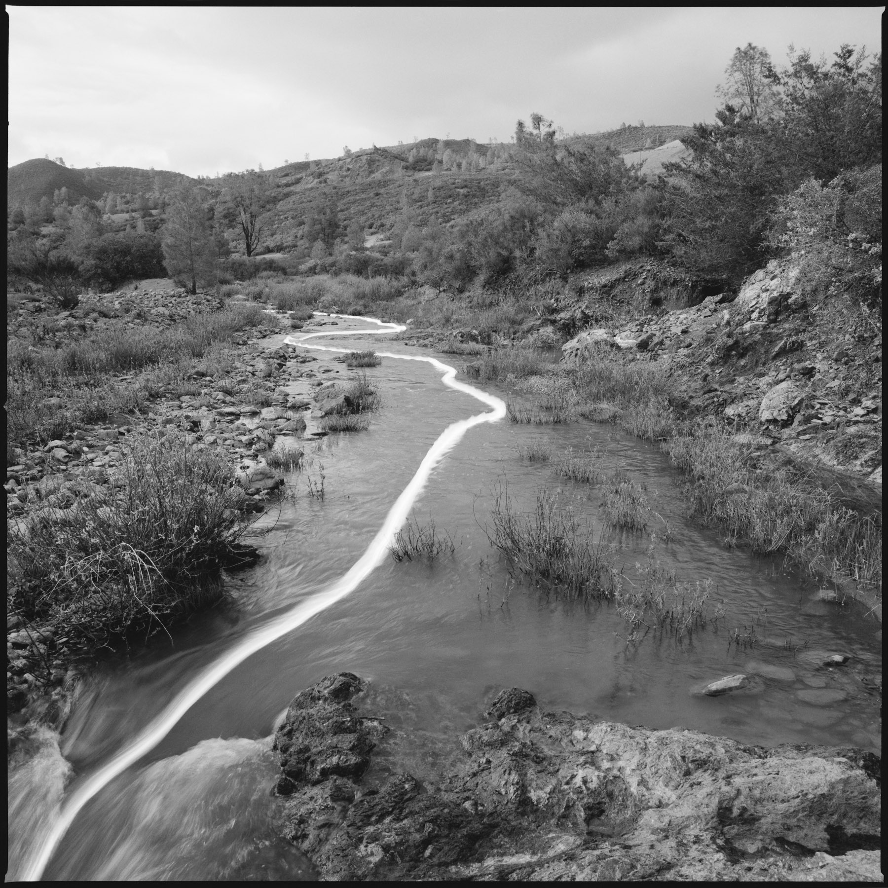 Line Drawn by Creek No. 1, 1998