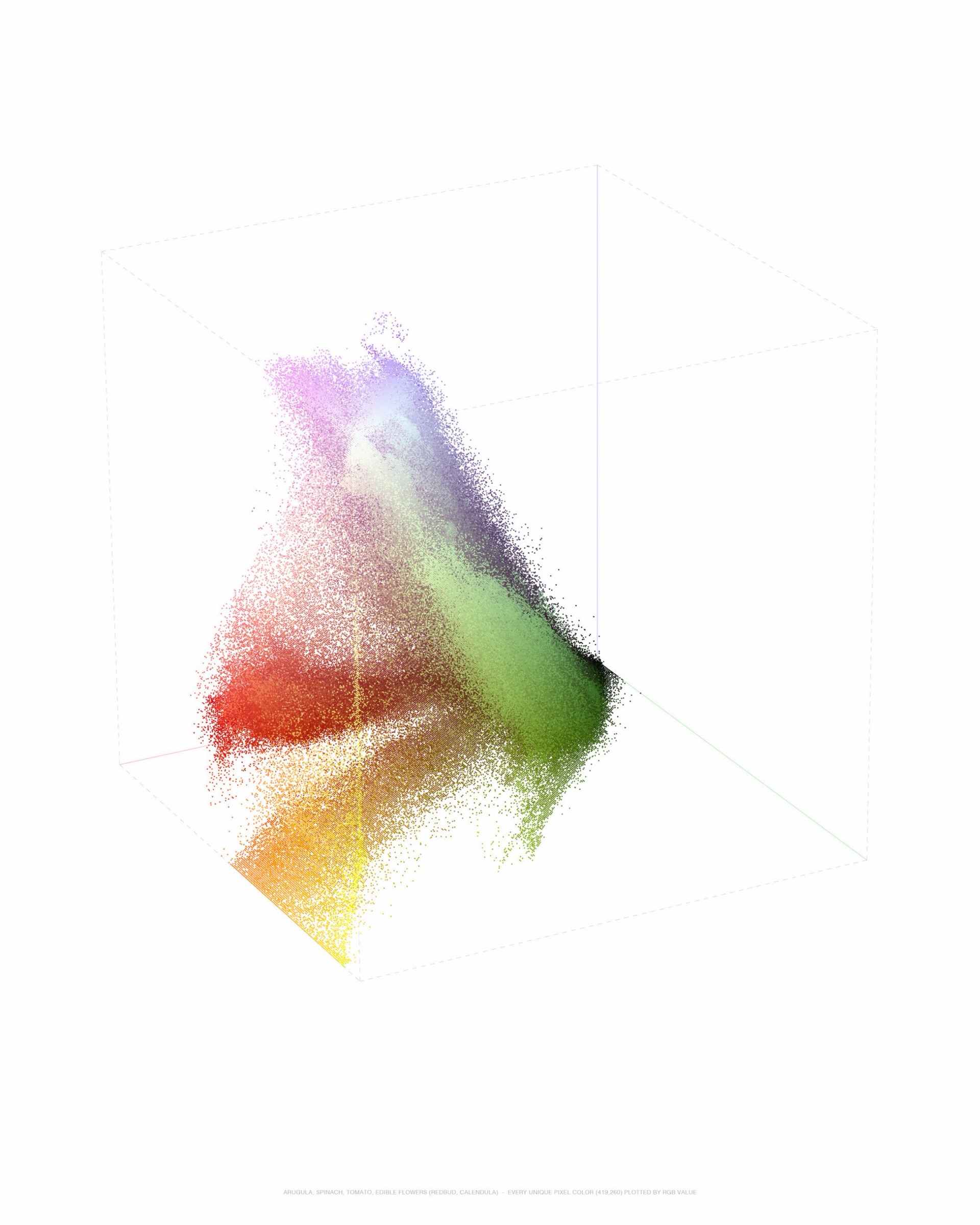 ARUGULA, SPINACH, TOMATO, EDIBLE FLOWERS (REDBUD, CALENDULA) - EVERY UNIQUE PIXEL COLOR (419,260) PLOTTED BY RGB VALUE
