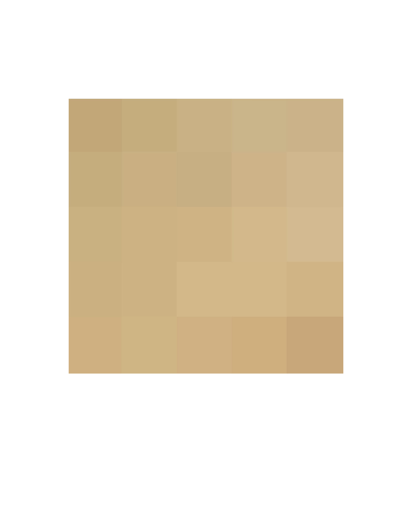 Aidan (25 Pixel Hair Photograph), 2005