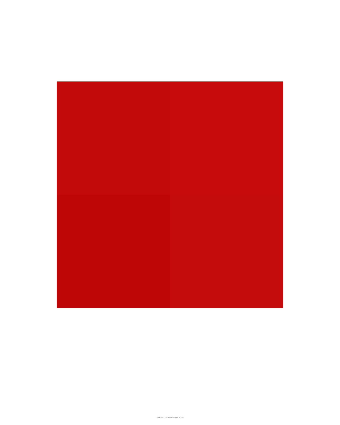 A Four Pixel Photograph of My Blood, 2005