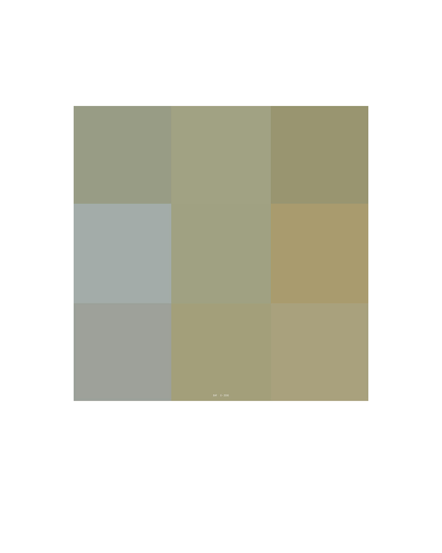 Burt (9 Pixel Eye Photograph), 2005