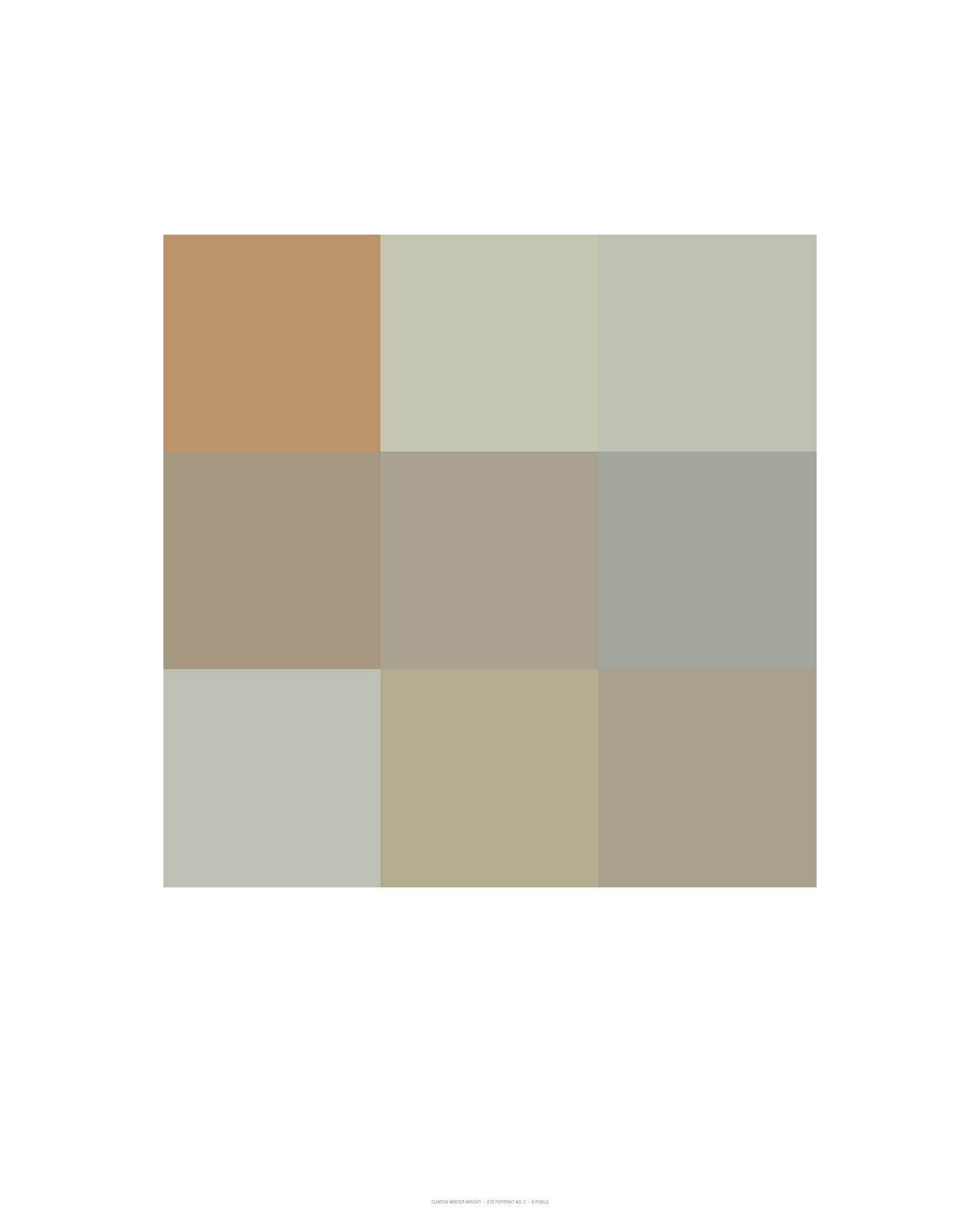 Clinton (9 Pixel Eye Photograph), 2006