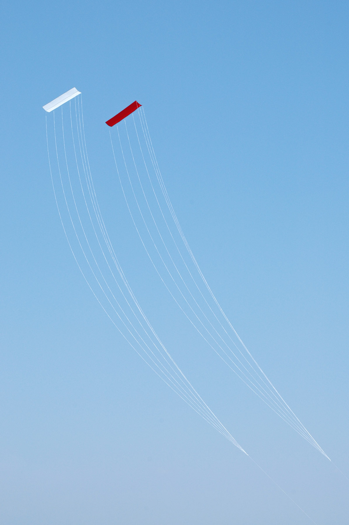 Red and White Kites in flight