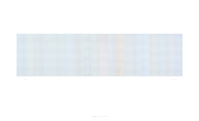 <em>29° 27’ 8” N ~ 98° 30’ 4” W / 4 - 30 - 2007</em>, 2007, photograph - pigment print on rag paper, 22" x 36"