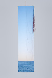 <em>Low Resolution Kite #6</em>, 2010, pigment print on Tyvek, bamboo, string, 84" x 19"