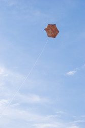 <em>Paper Bag Rokkaku Kite in flight</em>, 2008