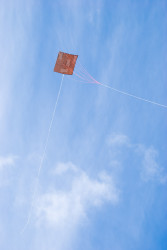 <em>Paper Bag Hamamatsu Kite in flight</em>, 2008