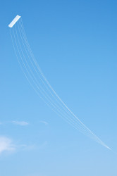 <em>White Kite</em> in flight
