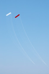 <em>Red and White Kites</em> in flight