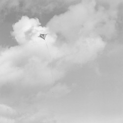 <em>Untitled Kite No. 1</em>, 1996, gelatin silver print, 4" x 4" and 40" x 40"